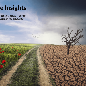 Climate Insights